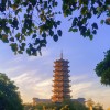 Picture of 珉 任